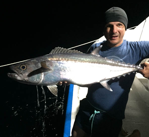 Noch ein Doggy Hundezahnthun beim Jiggen in der Nacht